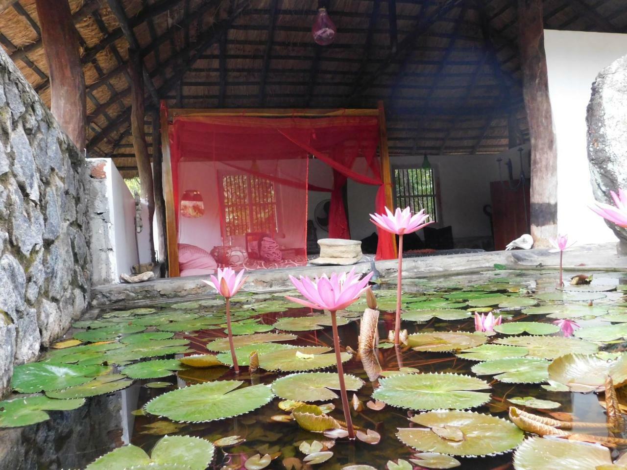 Galapita Eco Lodge Buttala Room photo