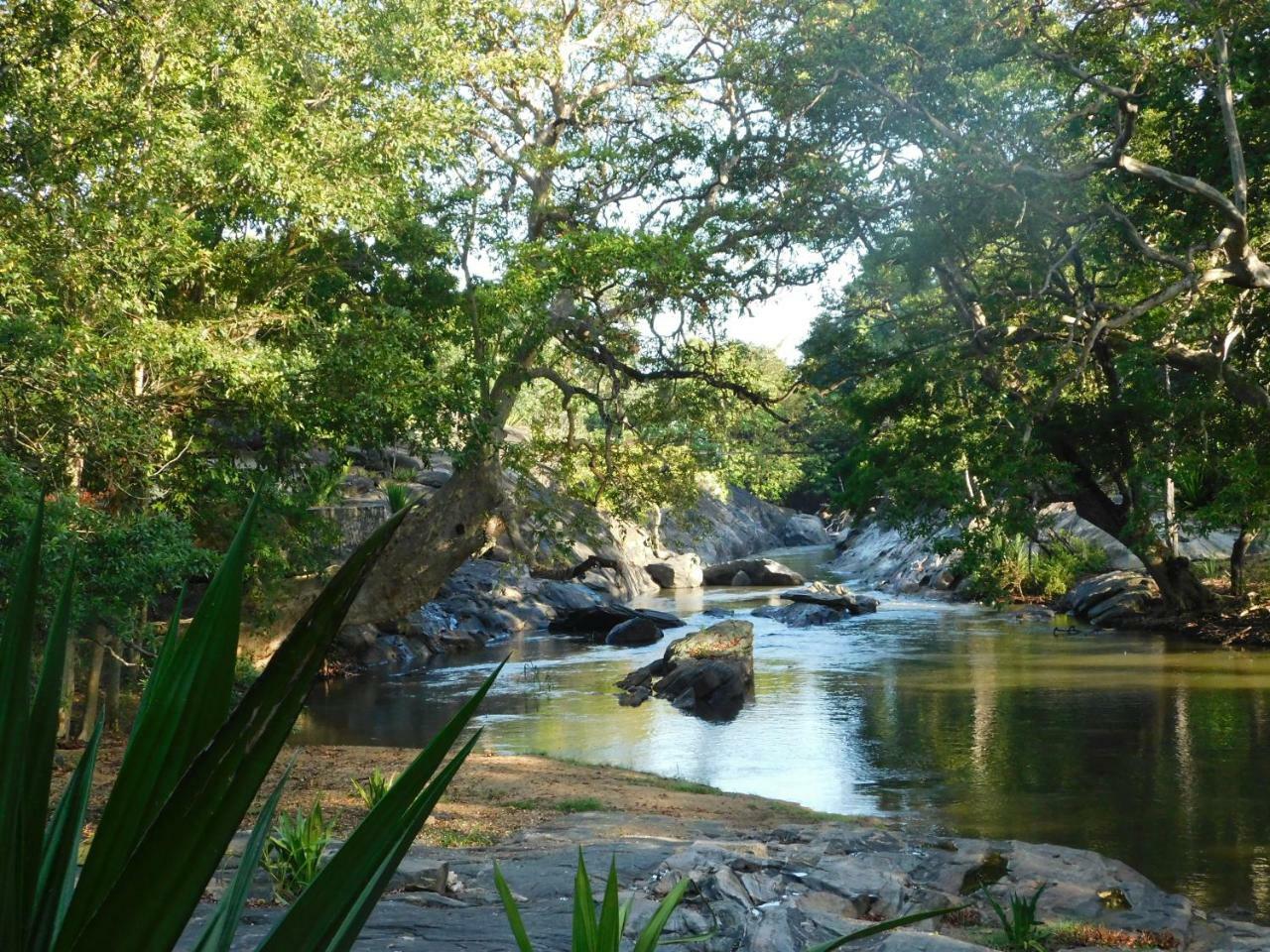 Galapita Eco Lodge Buttala Exterior photo